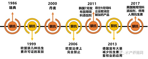 NG体育-瑞典队惨败，备战之路任重道远